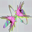 defoliation001-32.png