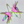 defoliation001.png