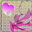 heartex001-32.png