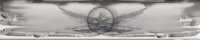 star-banner-black200-40.gif