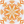 tanpopo003.png